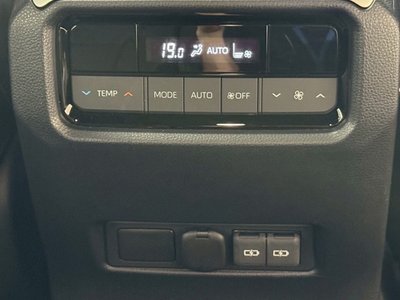 2024 Toyota LAND CRUISER 250 照片 51