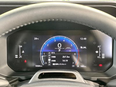 2024 Toyota LAND CRUISER 250 photo 43