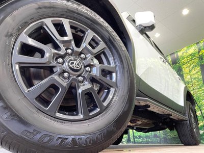 2024 Toyota LAND CRUISER 250 photo 14