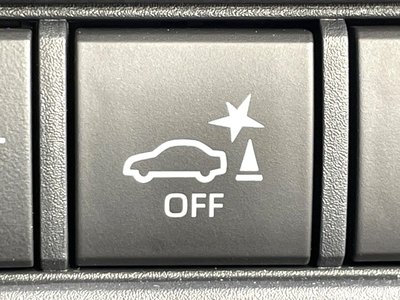 2024 Toyota LAND CRUISER 250 photo 58