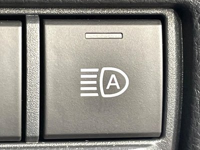 2024 Toyota LAND CRUISER 250 photo 57