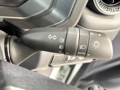 2024 Toyota LAND CRUISER 250 photo 41