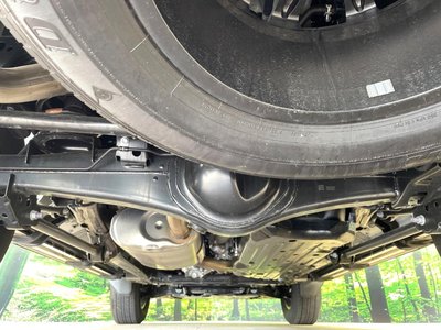 2024 Toyota LAND CRUISER 250 photo 20