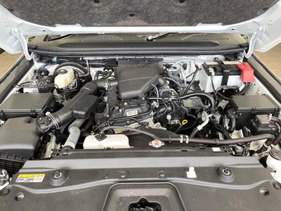 2024 Toyota LAND CRUISER 250 photo 19