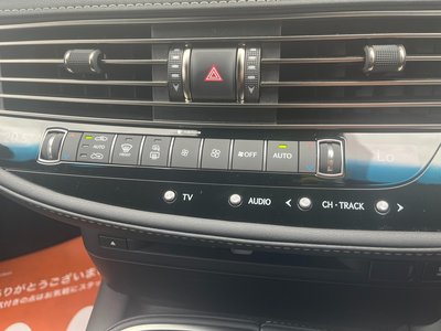 2021 Lexus LS photo 12