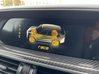 2019 ALFA Romeo STELVIO 缩略图 36