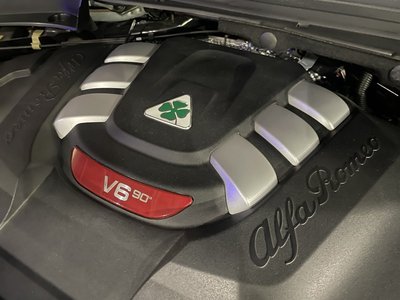 2019 ALFA Romeo STELVIO 缩略图 80