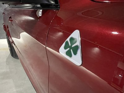 2019 ALFA Romeo STELVIO 缩略图 51