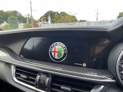 2019 ALFA Romeo STELVIO 缩略图 46