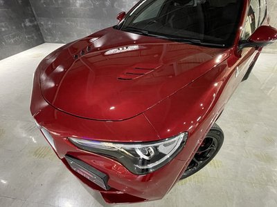 2019 ALFA Romeo STELVIO 缩略图 71