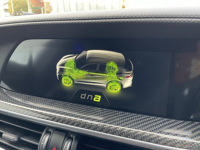2019 ALFA Romeo STELVIO 缩略图 33