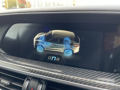 2019 ALFA Romeo STELVIO 缩略图 34
