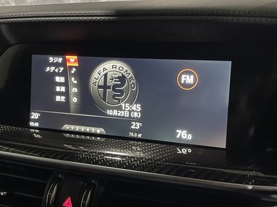 2019 ALFA Romeo STELVIO 缩略图 38