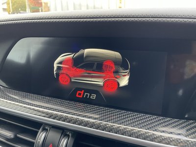 2019 ALFA Romeo STELVIO 缩略图 35