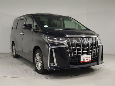 2022 Toyota ALPHARD 照片 11
