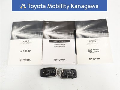 2022 Toyota ALPHARD 照片 39