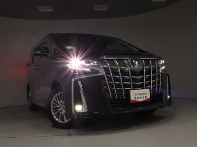 2022 Toyota ALPHARD 照片 36