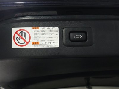 2022 Toyota ALPHARD 照片 31