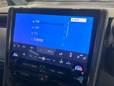 2023 Toyota ALPHARD 照片 31