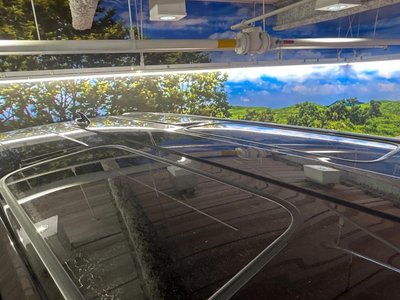 2023 Toyota ALPHARD 照片 27