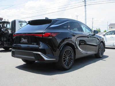 2025 Lexus RX 缩略图 15
