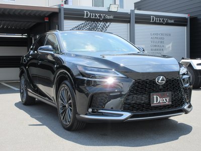 2025 Lexus RX 缩略图 19