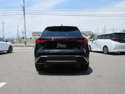 2025 Lexus RX 缩略图 12