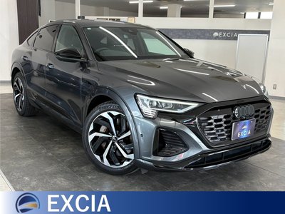 2023 AUDI Q8 SPORTBACK E-TRON 照片 1