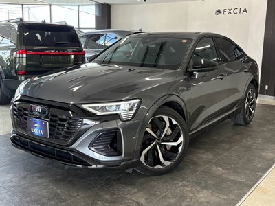 2023 AUDI Q8 SPORTBACK E-TRON 照片 6