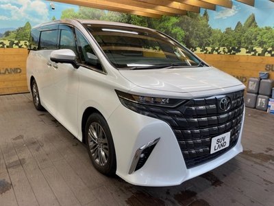 2023 Toyota ALPHARD 照片 19