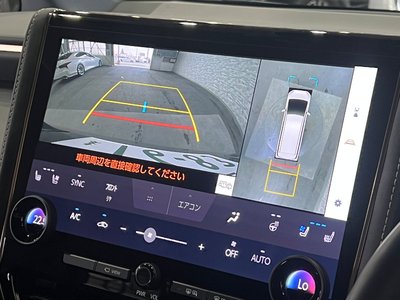 2024 Toyota ALPHARD 照片 10