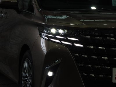 2024 Toyota ALPHARD 照片 16