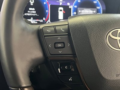 2024 Toyota ALPHARD 照片 26