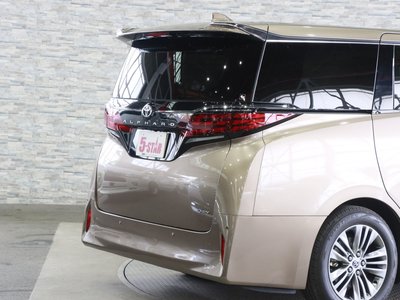 2024 Toyota ALPHARD 照片 19