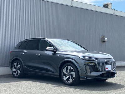 صورة مصغرة 145 لـ 2025 AUDI Q6 E-TRON