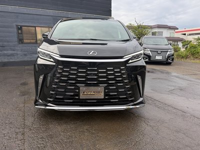 2025 Lexus LM photo 2