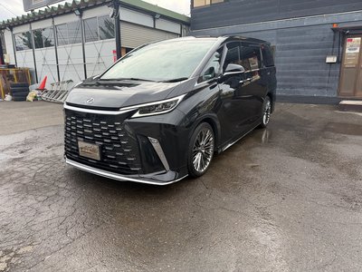 2025 Lexus LM photo 3
