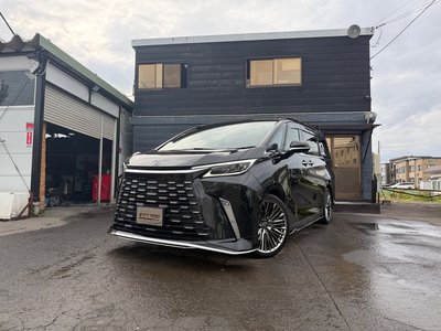 2025 Lexus LM photo 1