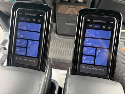 2025 Lexus LM thumbnail 35