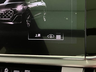 2026 AUDI Q8 缩略图 46
