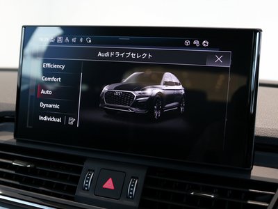 2025 AUDI Q5 SPORTBACK thumbnail 19