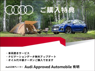 2024 AUDI A6 — миниатюра 21