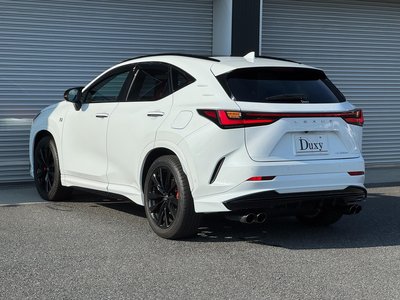 2025 Lexus NX 缩略图 22