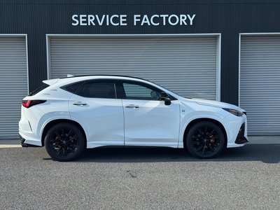 2025 Lexus NX 缩略图 17