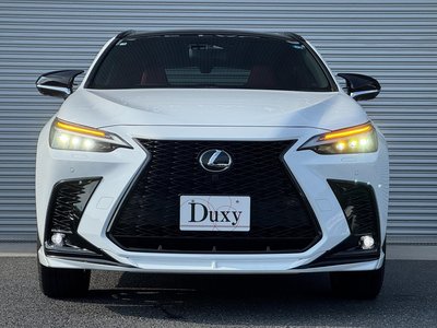 2025 Lexus NX 缩略图 19
