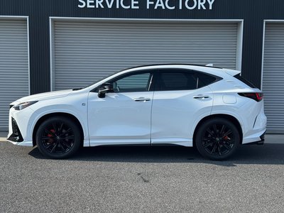 2025 Lexus NX 缩略图 16