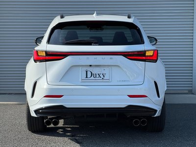 2025 Lexus NX 缩略图 18