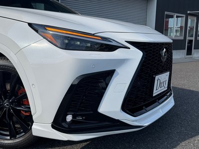 2025 Lexus NX 缩略图 14