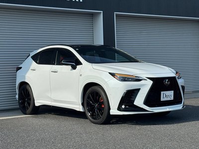 2025 Lexus NX 缩略图 20