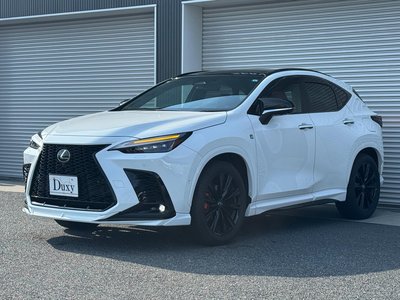 2025 Lexus NX 缩略图 21